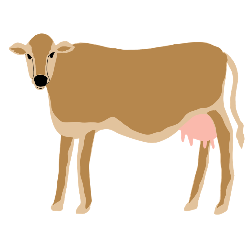 Ilustración de una vaca, homenaje a la vocación lechera de Entrerríos